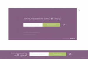 Теперь можно бесплатно установить на сайт кнопку заказа звонка « Перезвоните мне за 30 секунд» от Binotel