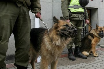 EU to provide Ukraine Army with sniffer dogs, search drones