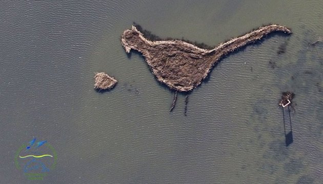 Une île en forme de faisan est apparue dans la région d’Odessa (photos)