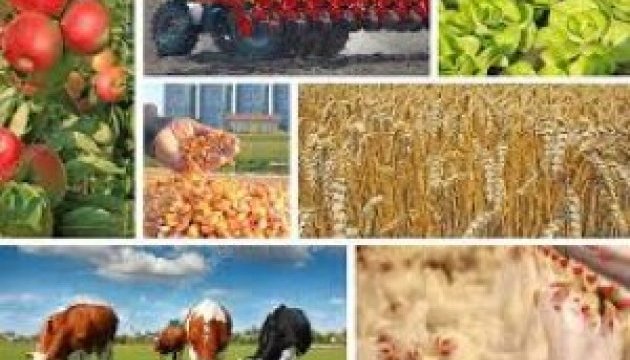 Граждан интересует государственная поддержка фермерских хозяйств - Правительственный контактный центр Граждан интересует государственная поддержка фермерских хозяйств - Правительственный контактный центр