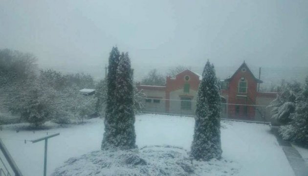 У Харкові випав перший сніг