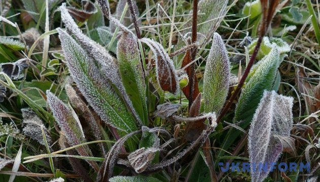 В Україні у вівторок вночі місцями заморозки, вдень 4-9° тепла 