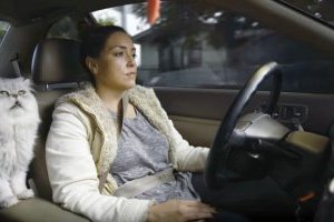 Американець зняв рекламний ролик, аби продати стареньке авто