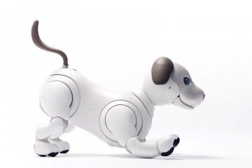 Sony представила емоційного робопса з фотоапаратом і кісточкою