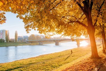 Ловити осінь за хвоста