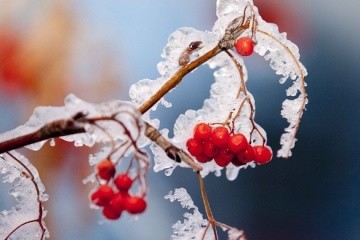 Чого чекати від погоди: майже всюди “плюс”, а на Лівобережжі до -12°