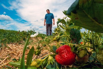 Фермерам готують кредити для купівлі землі під 3% річних