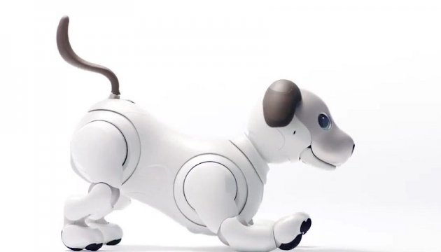 Sony представила емоційного робопса з фотоапаратом і кісточкою