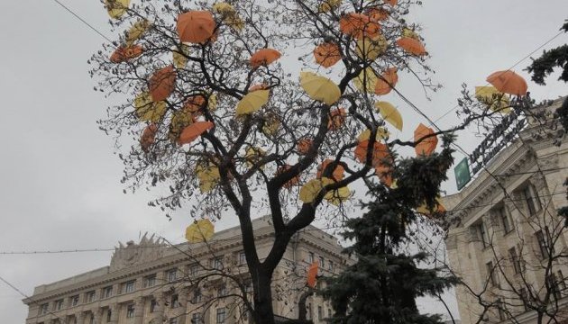 Арт-об'єкт під парасольками: харківське дерево сховали від негоди