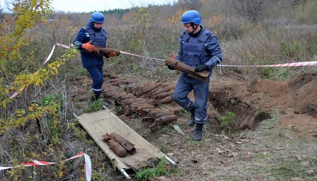 На Миколаївщині з грядки викопали 63 авіабомби
