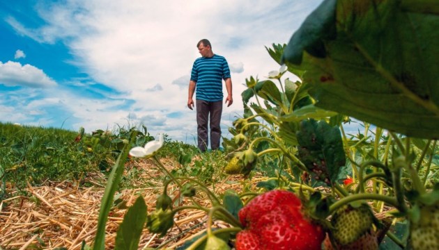 Ukrainian farmers invited to take part in Berlin Green Week