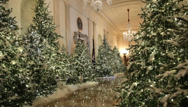 53 ялинки і 12 тисяч іграшок: Білий дім прикрасили до Різдва