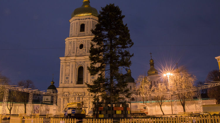 Ось таку облисілу ялинку привезли на Софійську площу в Києві Ось таку облисілу ялинку привезли на Софійську площу в Києві