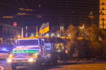 El principal árbol de Navidad llega a Kyiv (Fotos)