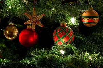 У Києві пункти прийому новорічних ялинок працюватимуть до 1 лютого