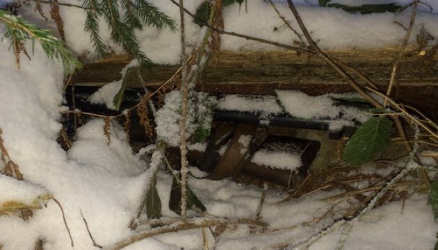 На Черкащині браконьєри застрелили трьох оленів і травмували копа На Черкащині браконьєри застрелили трьох оленів і травмували копа