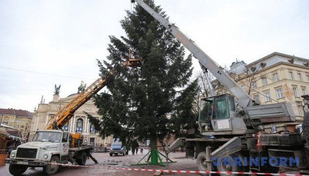 У Львові встановлюють головну новорічно-різдвяну ялинку