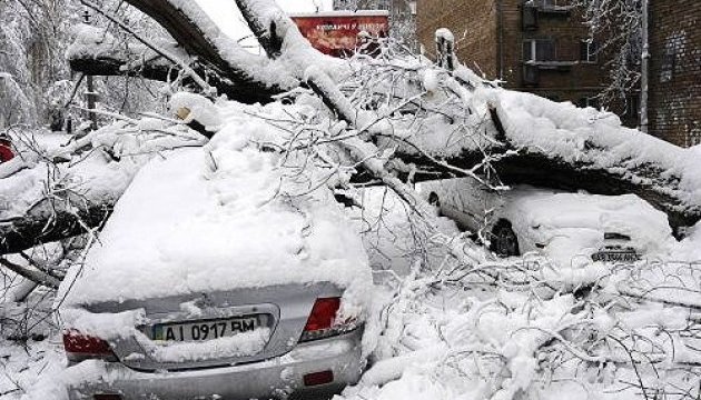 Ураган на Львівщині позривав дахи, повалив дерева та побив машини