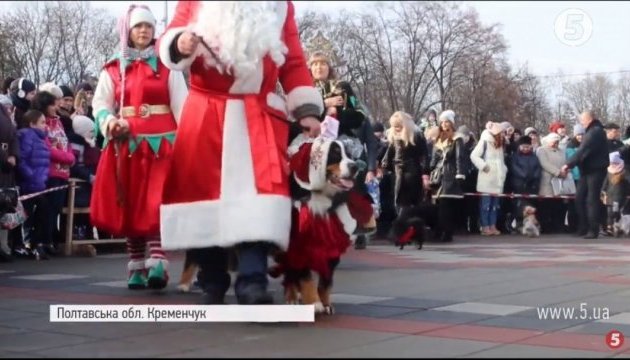 На Полтавщині влаштували парад собак