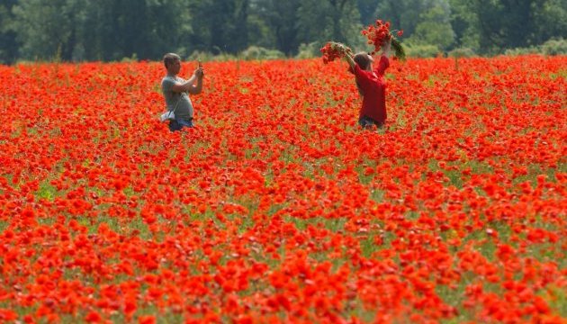 Las fotos más impactantes de Ukrinform de 2017