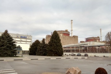 OIEA: Se restablece el suministro de energía eléctrica externo en la central nuclear de Zaporiyia