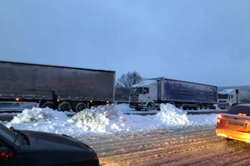 Київ відкрили для фур, але на ніч хочуть закрити знов