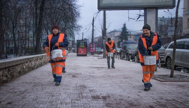 Комунальники розповіли, як борються зі снігом у Києві