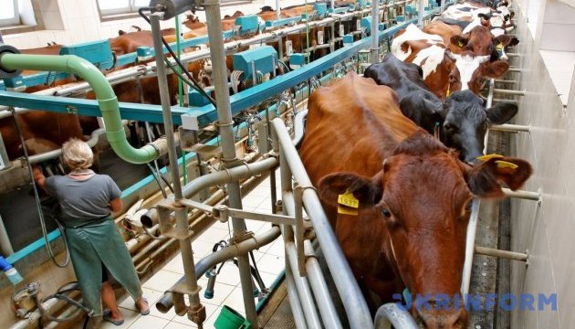 Dairy farms to build or upgrade nearly 60 facilities this year