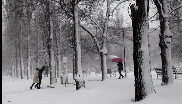 Снігопад залишив без світла понад 530 населених пунктів на Одещині