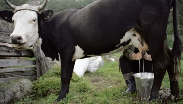 Гройсман запевнив селян, що вони безперешкодно можуть продавати молоко