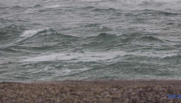 На березі Азовського моря виявили загиблого дельфіна