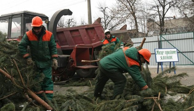 У Києві продовжили роботу пунктів збору новорічних ялинок до 9 лютого