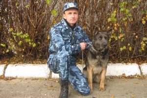 Овчарка Локи. Жизнь на службе
