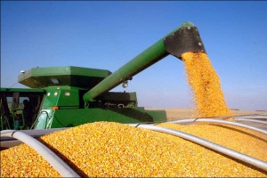 Україна вже експортувала понад 35,8 мільйона тонн зернових та зернобобових