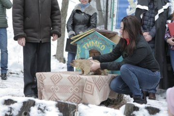 Бабак-синоптик Тимко вперше зробить прогноз дистанційно