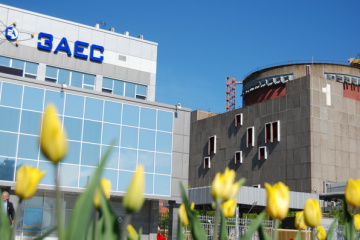 Energoatom: Los rusos mienten y obstaculizan las actividades de la misión del OIEA en la central nuclear de Zaporiyia