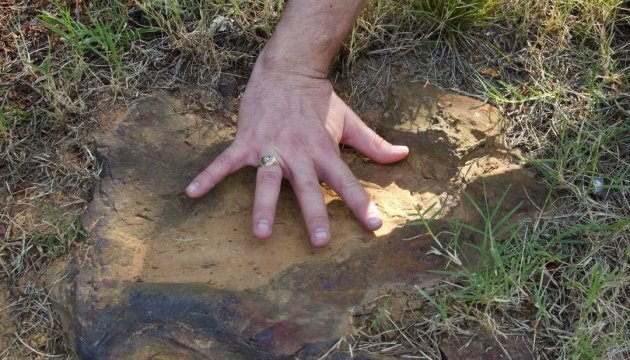 Поблизу офісу NASA знайшли плиту зі слідами десятків динозаврів