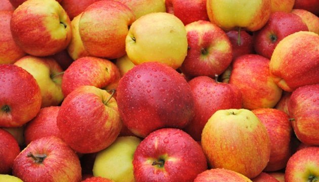 Exportaciones de manzanas ucranianas a los países de la UE aumentan 9 veces