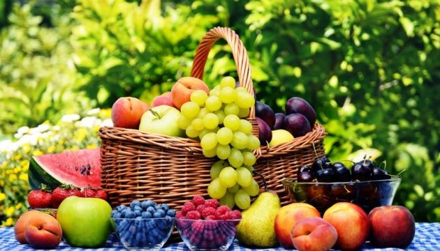 Experto: Se espera un nuevo récord en la exportación de frutas y bayas frescas en 2018