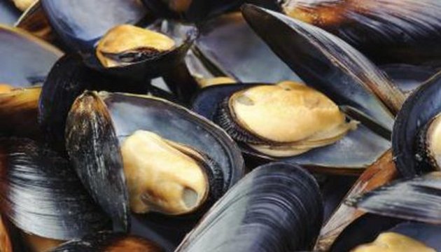 Monument to mussels to be installed in Vinnytsia region