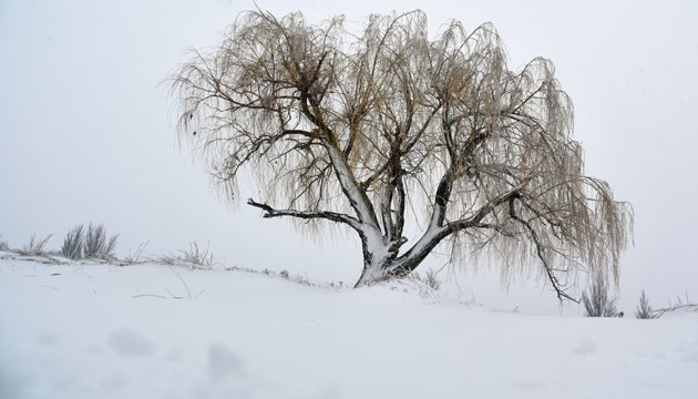 21 февраля: народный календарь и астровестник 21 февраля: народный календарь и астровестник