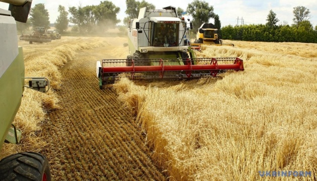 Ukrainian farmers harvest over 13 mln tonnes of grain – Agrarian Policy Ministry