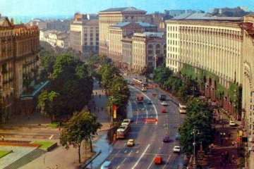 Коли у місті падають дерева: експеримент на Хрещатику і допомога з космосу