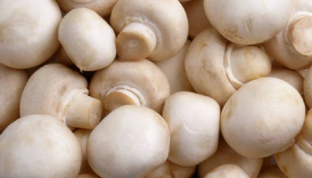 Ukraine increases champignon mushroom exports twelve-fold