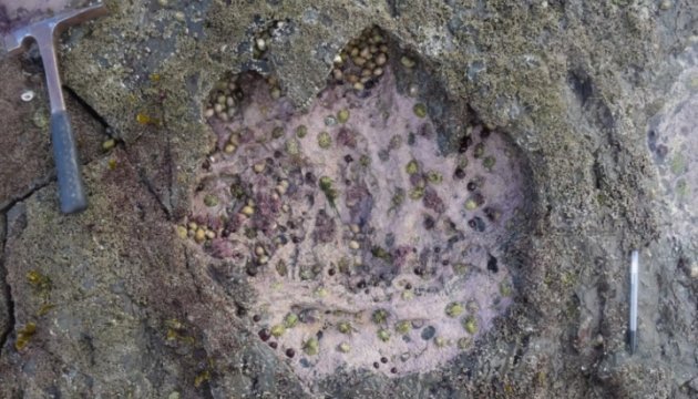 У Шотландії знайшли сліди найбільшого в світі динозавра