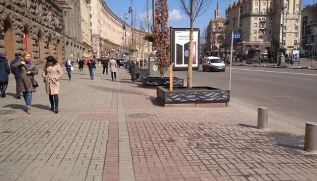 “Обери дерево для Хрещатика”, або Київ знову буде найзеленішою столицею Європи