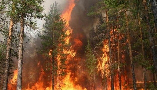 У Чорнобильській зоні горять 20 гектарів лісу, рятувальники задіяли авіацію