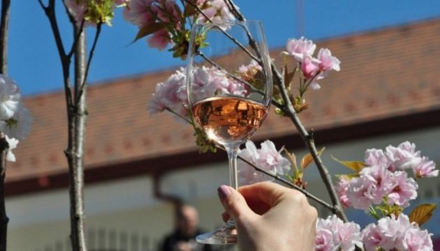 В Ужгороді стартував винний фестиваль «SakuraWine»