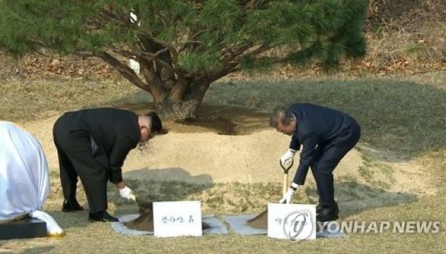 Лідери двох Корей посадили на кордоні дерево