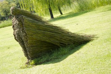 В Херсоне осенью состоится фестиваль ленд-арта